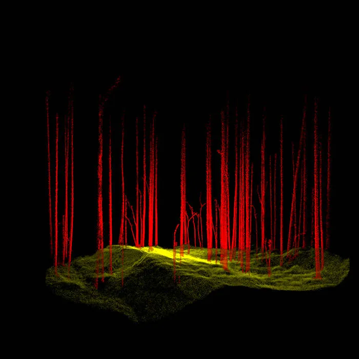 Ví dụ về LiDAR di động trong ngành Lâm nghiệp