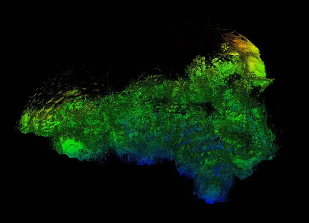 LiDAR đang thay đổi ngành Lâm nghiệp như thế nào?